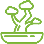 image_58.png image_58.png