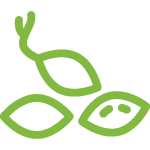 image_59.png image_59.png